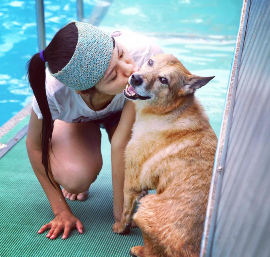 流浪狗得肿瘤,流浪狗得肿瘤被主人遗弃