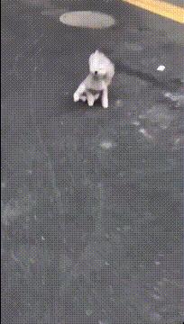 这么调皮的女朋友，我也想来一打