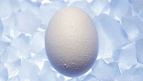 即使单身女性有了“冻卵权”，低成功率和高风险也会劝退很多人