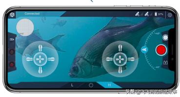 潜行多睿什么意思,潜行多睿深度评测