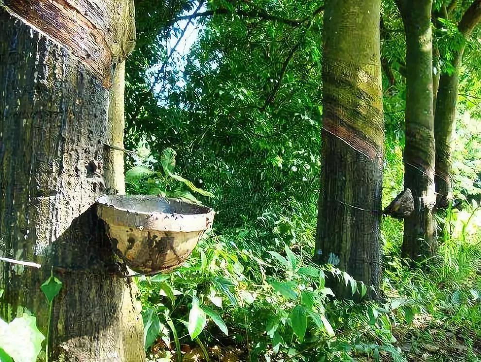 装修费钱又糟心？欧派整套厨房15800元全包了