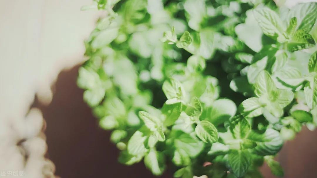 深爱过的人怎么可能那么容易忘记,深爱的人一旦入了心就忘不掉