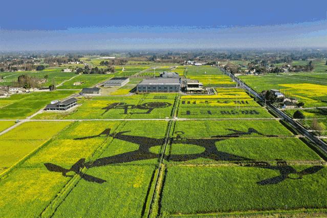 重要提醒5月起成都正式实施,成都9月1日通告