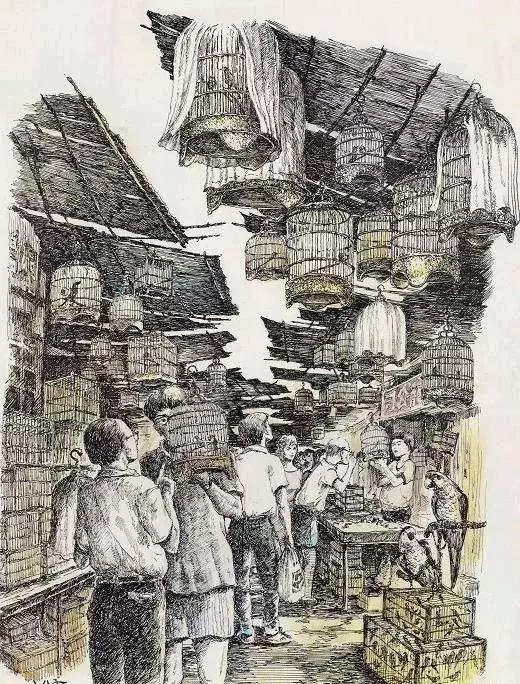 钢笔用得好，真的可以为所欲为！