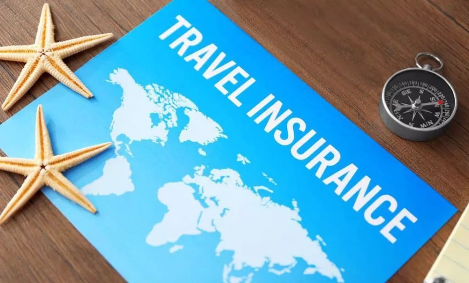 世界梦号内部游览过程 (探索梦号邮轮参观攻略)