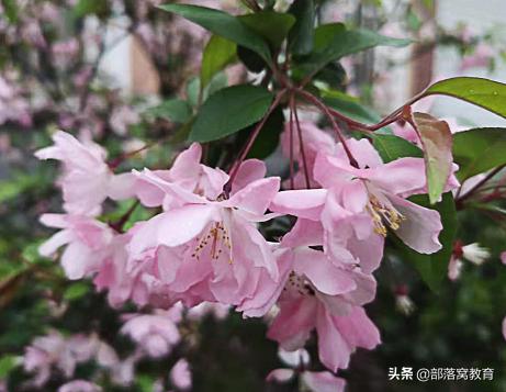 ps800*800像素拖图片进去很模糊,ps如何把不清晰的照片变清晰