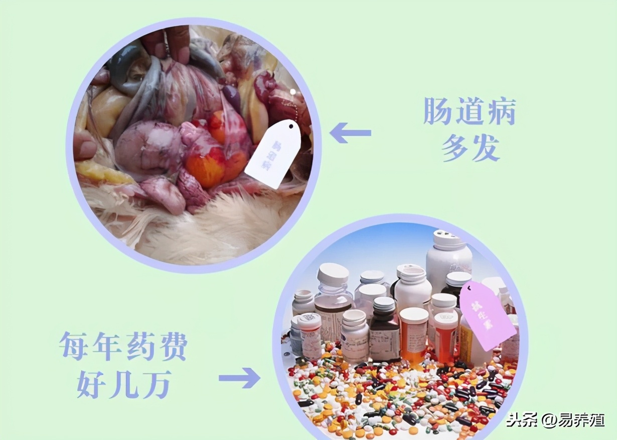 顽固性输卵管炎，反反复复怎么办？