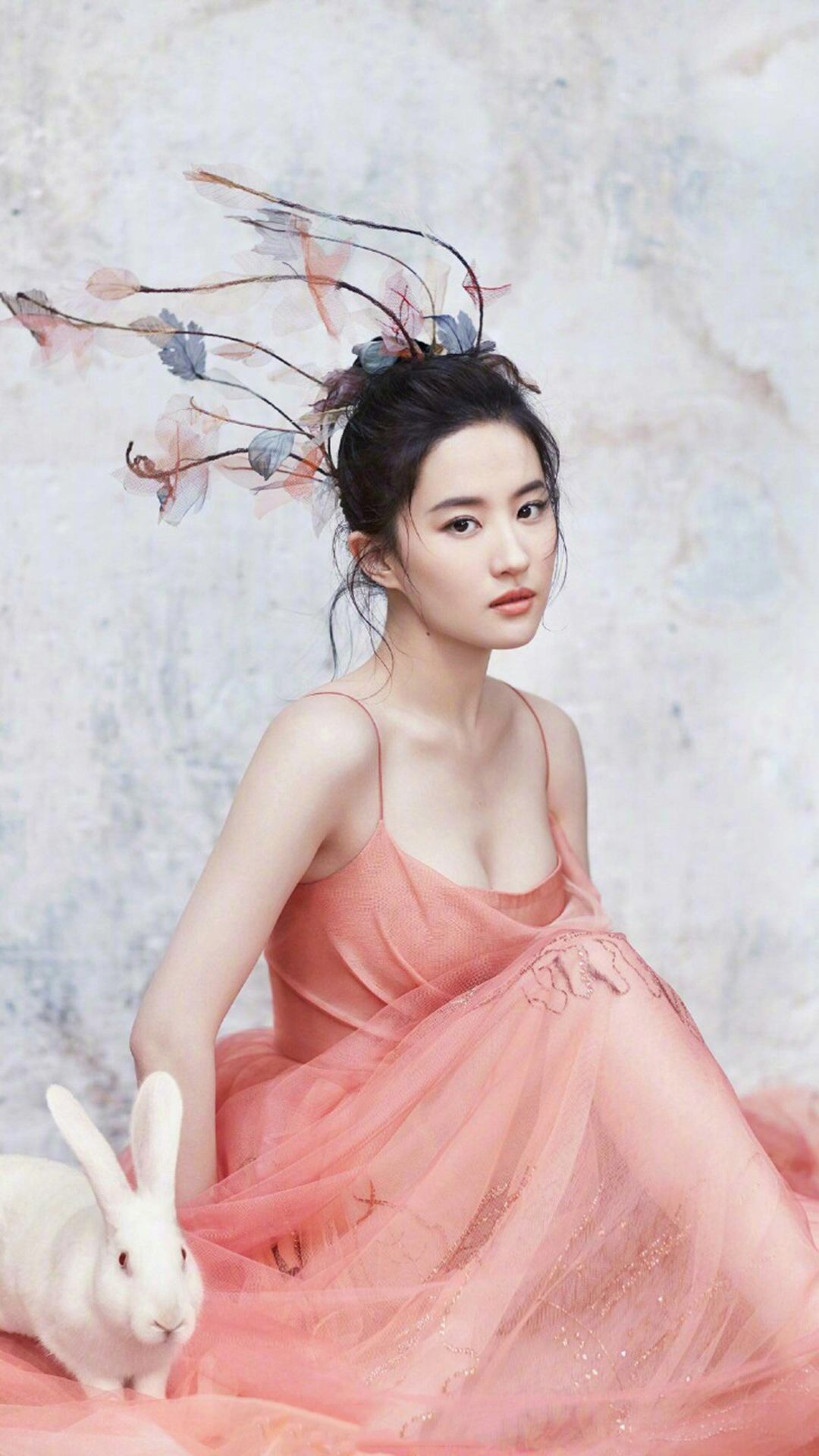 你属什么就注定了你的命,你属什么决定你是什么命