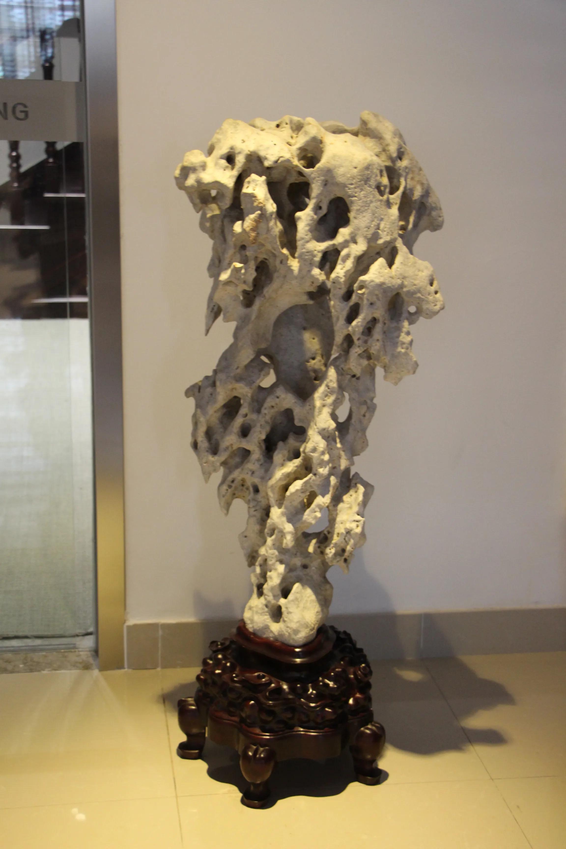 享受阳光-醉爱收藏文化的著名企业家许末兴