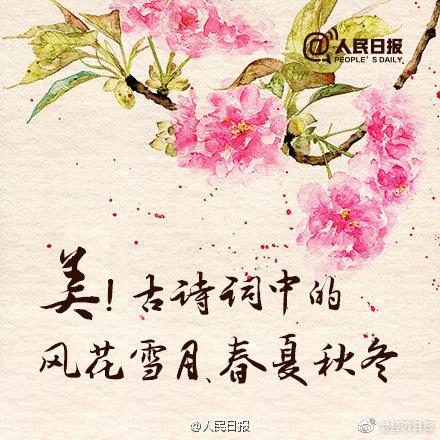 春夏秋冬风花雪月类似的词语,关于春夏秋冬和风花雪月的古诗词