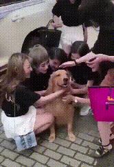 如被猫狗咬伤或抓伤应如何处理,被猫狗咬伤在多少小时之内打疫苗