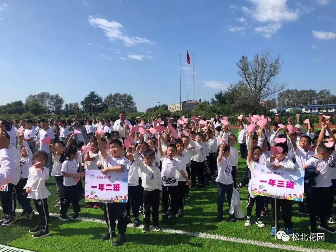 新区好学校,新区好的小学