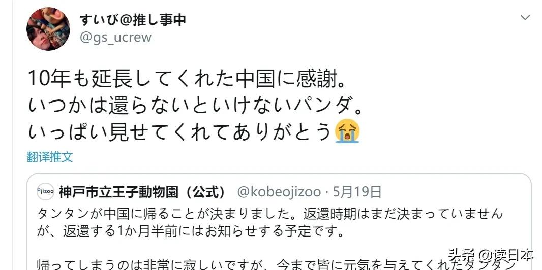 日本的顶级流量担当者大熊猫！日本人的熊猫情结疯狂到你想不到