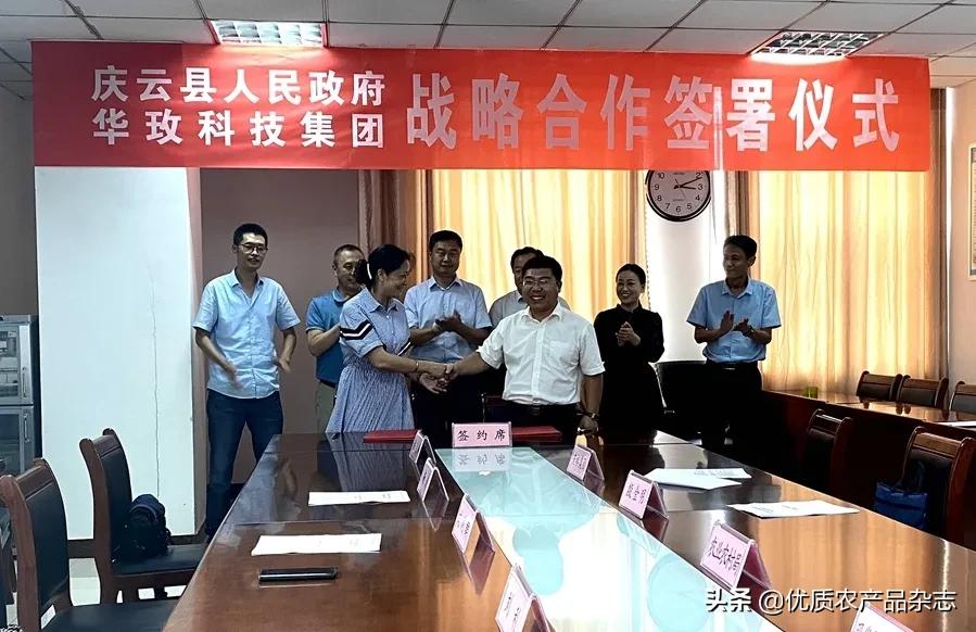 美丽健康、治沙脱贫,打通玫瑰产业链,她的云朵玫瑰开出别样美丽