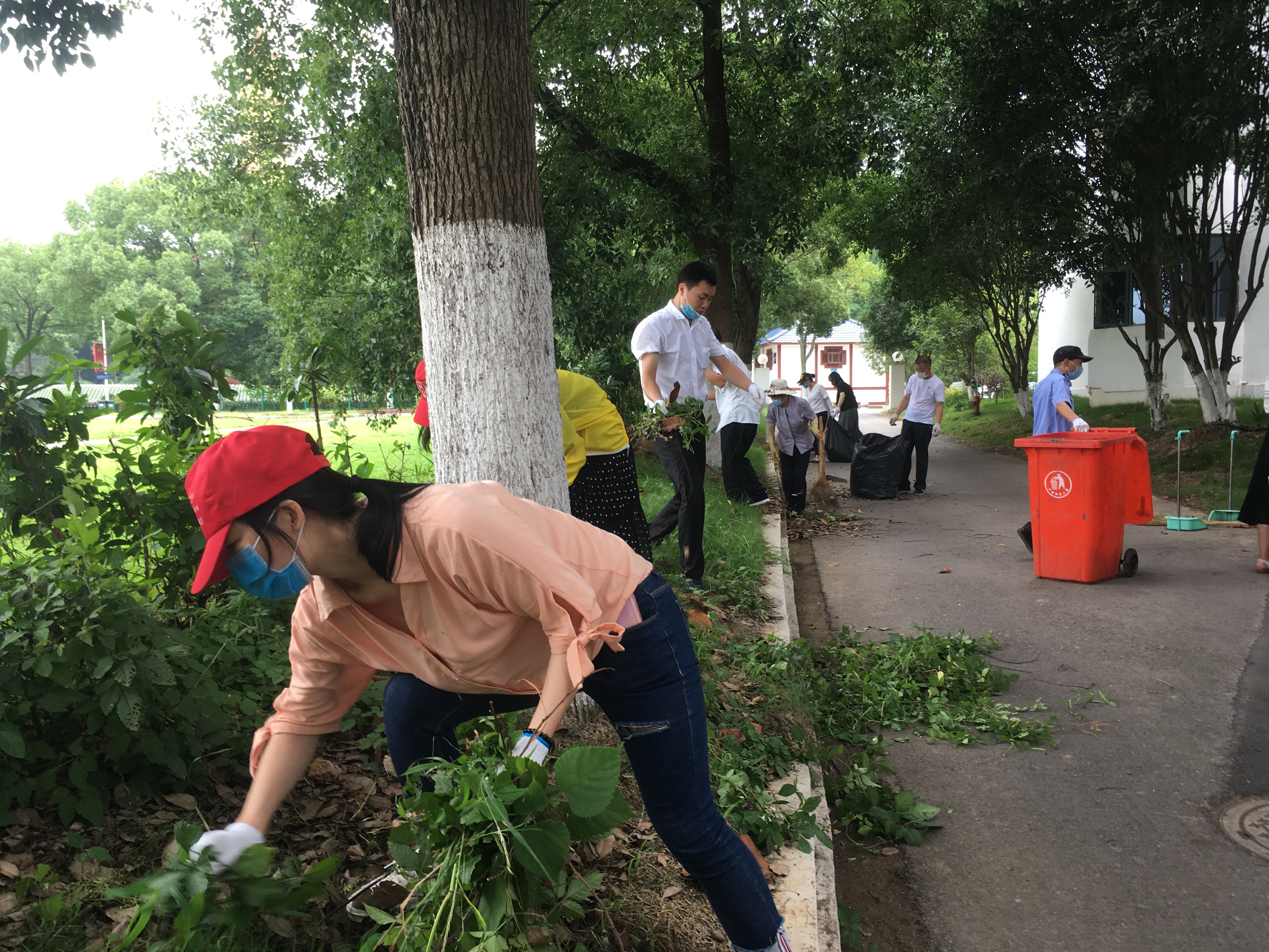 创文创卫社区志愿者活动,社区创文创卫志愿者活动