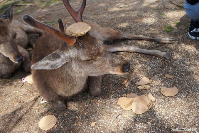 平面设计如何赚钱,平面设计怎么赚钱