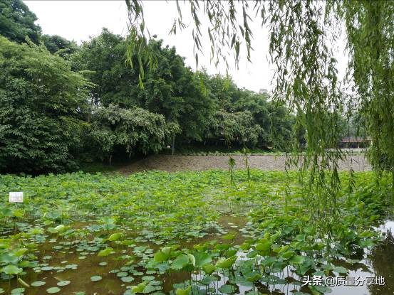 荣昌万灵古镇最新视频,荣昌万灵古镇短视频