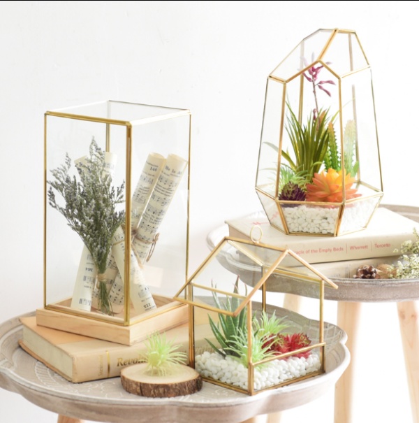 都挺好姚晨cp,都挺好姚晨扮演的是谁