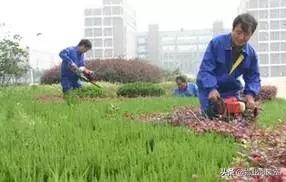 物业环境管理包括哪些方面,物业秩序外包管理方案