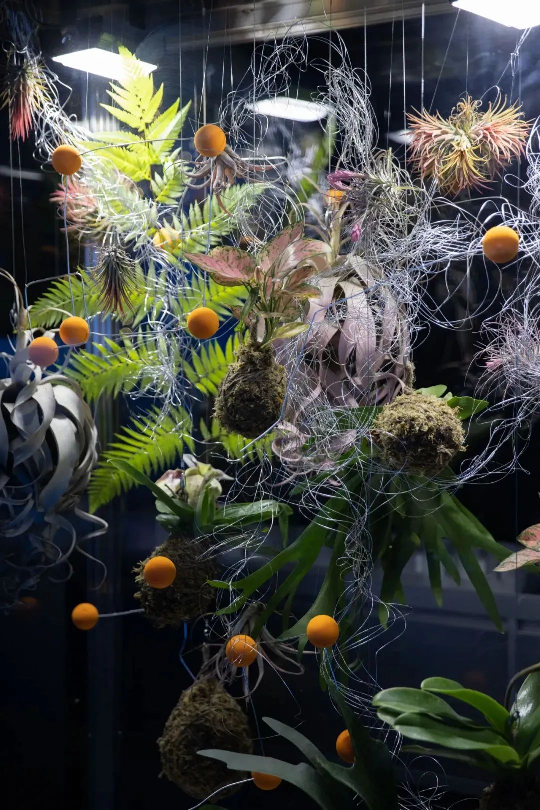 广州、武汉惊现“黑洞”，被“吸”进的消费者几乎没人空手而出