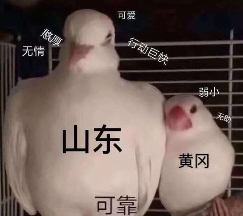 谈谈对山东的认识和了解,关于山东你不得不知的十大事实