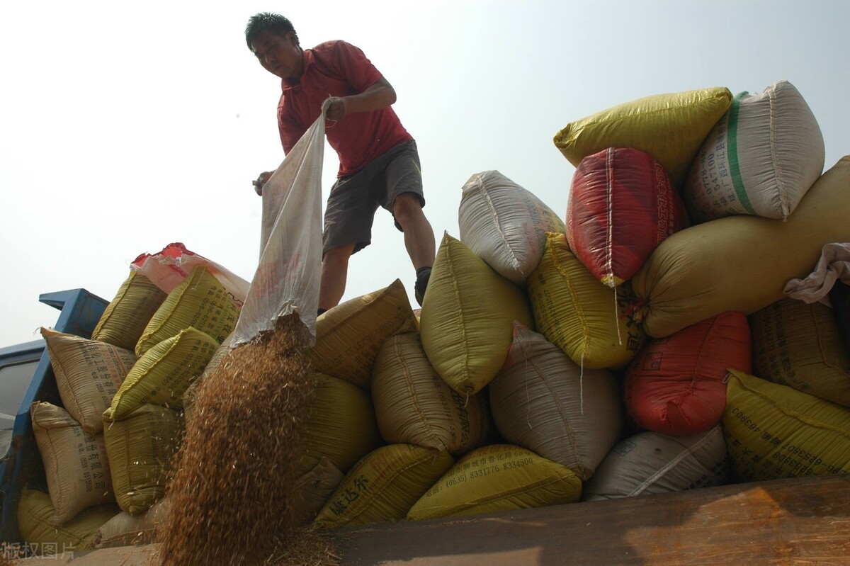 倒春寒对农产品期货的影响,高温对什么期货农产品影响最大