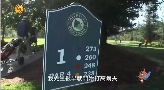 海外求学家长陪读,海外陪读家长可以打工吗