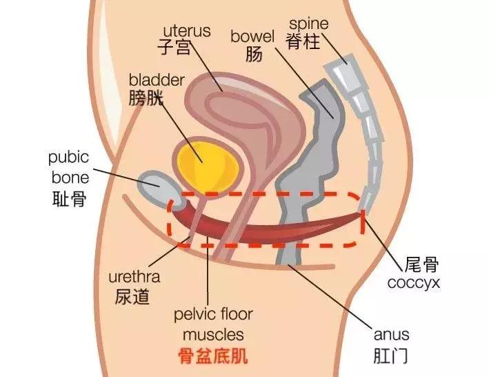 产后老公连这四件事都做不到,产后夫妻关系不和谐需要看医生吗