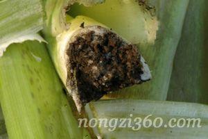 闲侃历史上的小事,闲侃专家讲解视频