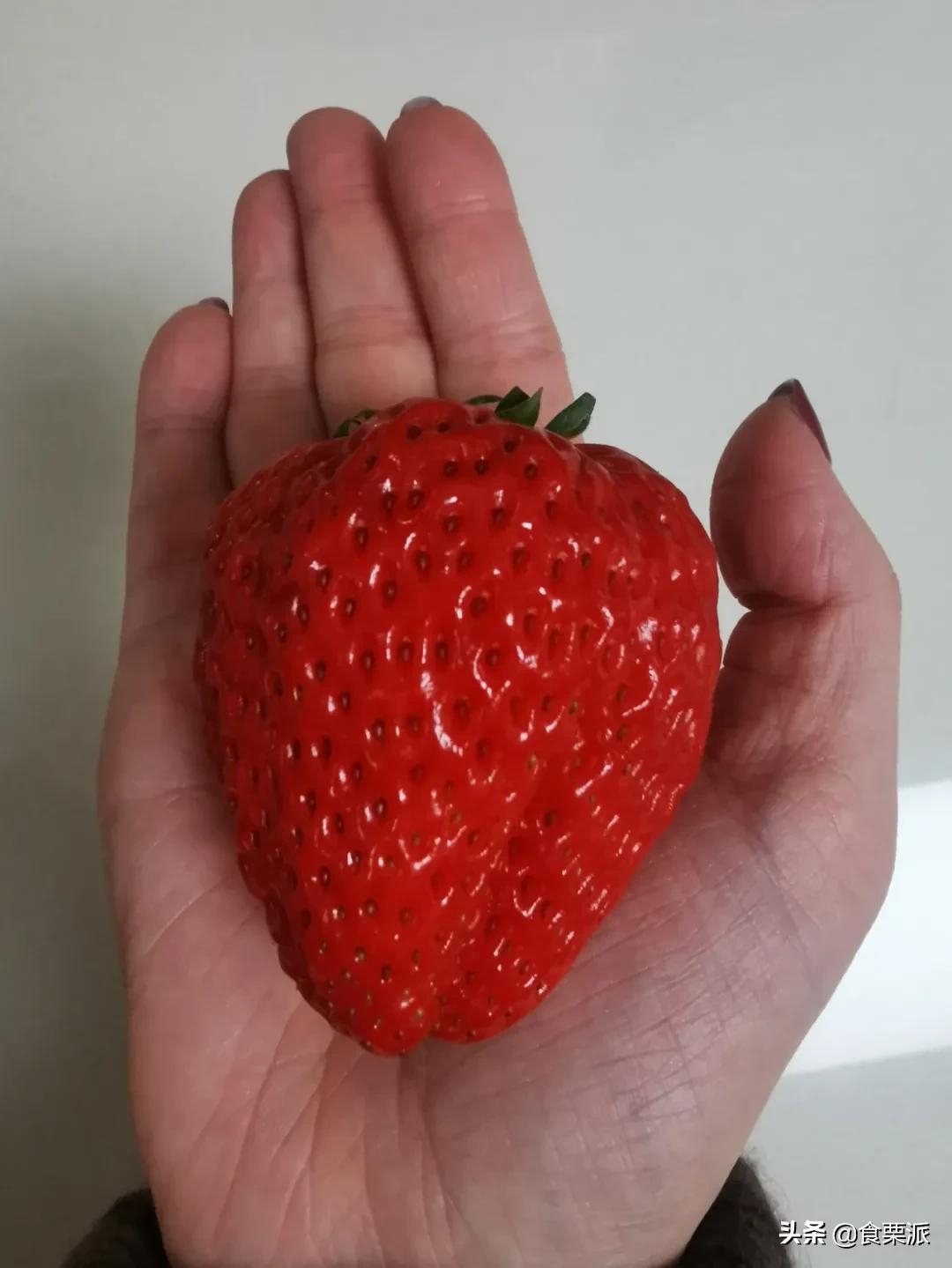 过年买什么？让我抄下购物车！本司小伙伴购物车大公开