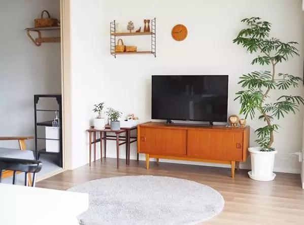 日本主妇一个月20万零花钱,日本主妇一年省了500万