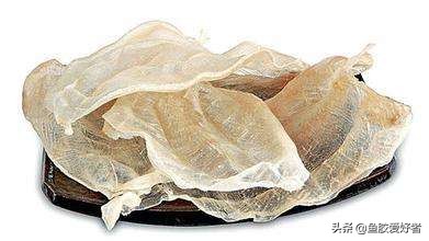 为什么鱼胶要那么贵,顶级鱼胶为什么那么贵