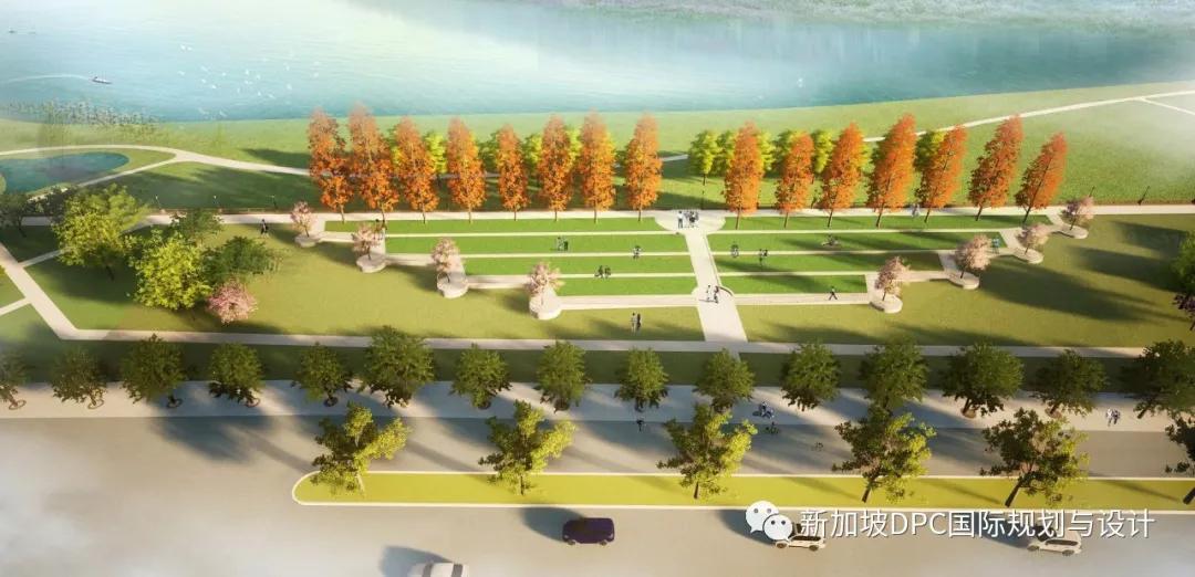 被盛赞“很精彩！很惊艳！很欣喜！”南充最美公园华丽来袭|DPC