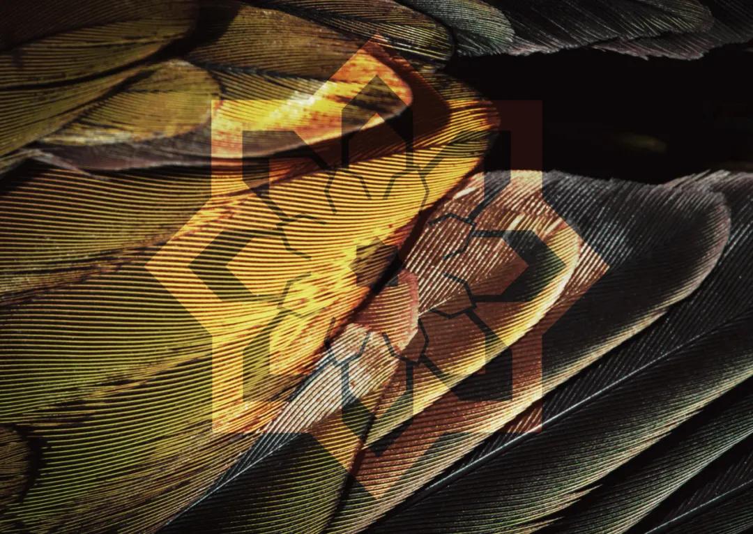 深耕助听器领域15年,深耕家具行业18年