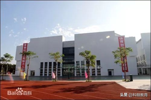 “人气王”宝安中学最强攻略!有宝中梦的不要错过