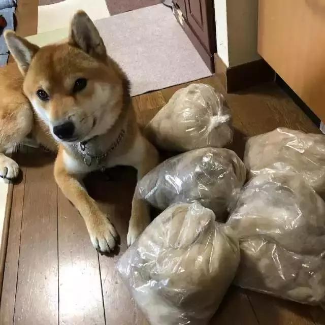 变废为宝绵羊毛衣,变废为宝旧毛衣