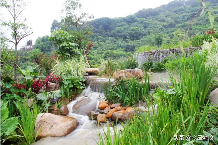 给你1小时，痛快滴玩！海沧版“快乐大本营”福利来袭！