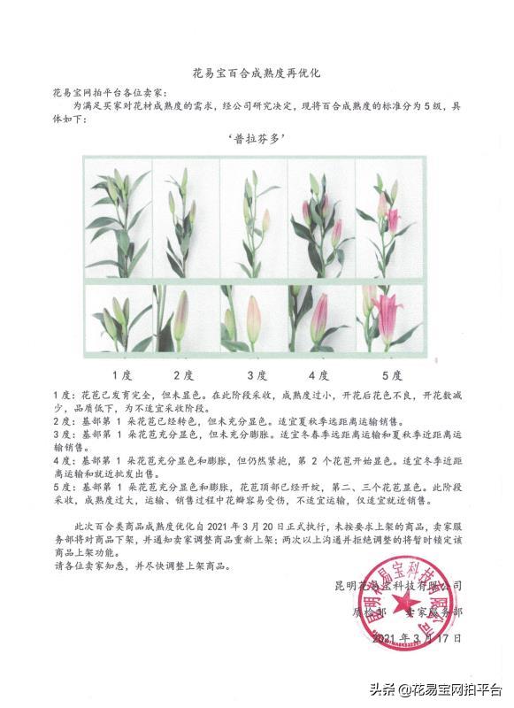 鲜花等级哪个最好,鲜花等级和新鲜程度有关吗