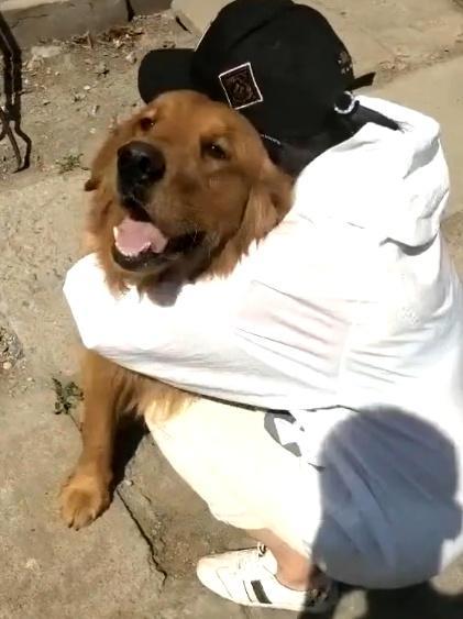 金毛被卖到肉店,金毛丢失重逢