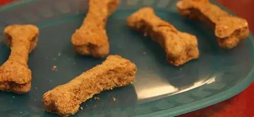 狗狗饮食禁忌不能吃的食物,怀孕狗狗吃什么食物好