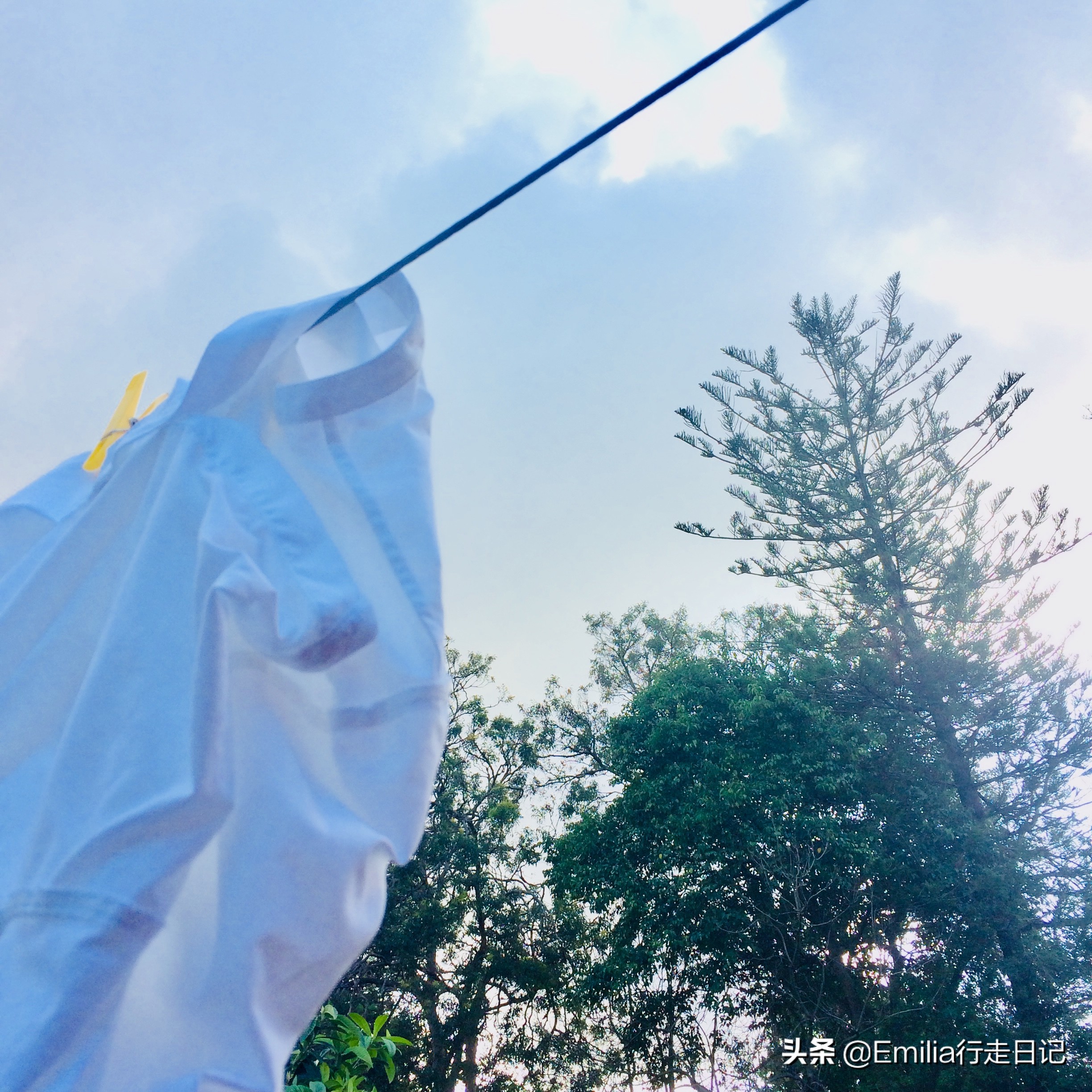 澳洲人居住的真实生活,在悉尼的感受