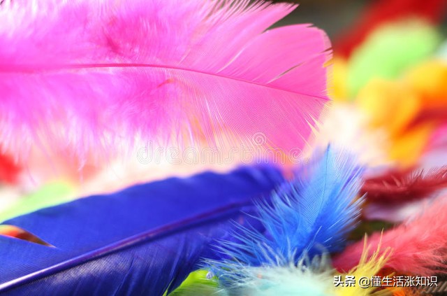 护肤保养为什么会搓泥，五个小技巧帮助你告别搓泥烦恼