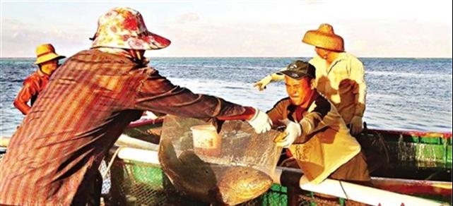 南海美济岛建设最新消息,中国南海收复了多少岛礁