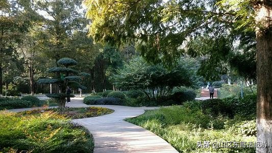 有云海奇松怪石等秀丽的风景,相山公园小仙洞风景