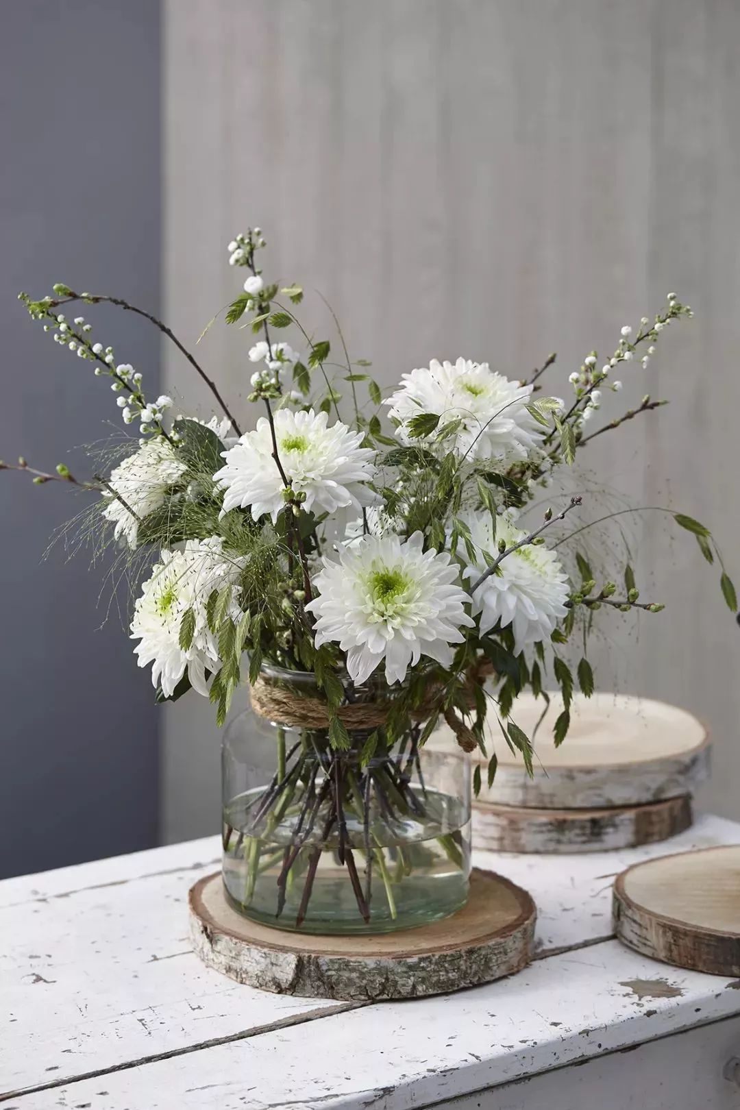 好看的切花菊推荐,好看好养的切花菊