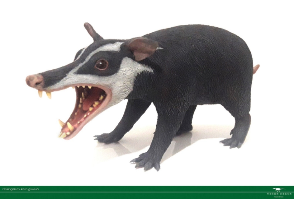 山海经都有哪些动物被证实存在,如果山海经的异兽真的存在