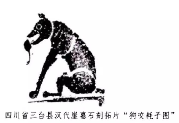 动物界的顶流,动物界熊猫顶流