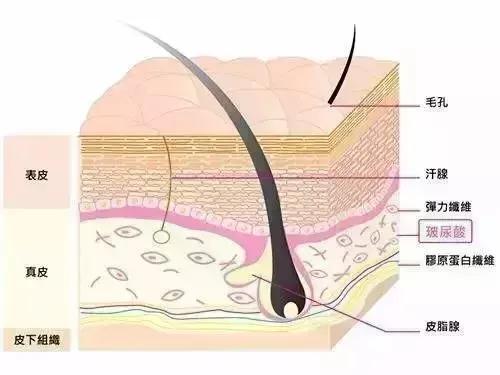 维a精研抗皱眼霜,维A抗皱眼霜