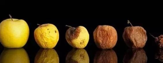 实验室|去除腐烂部分的果蔬还能吃吗?实在舍不得扔怎么办?