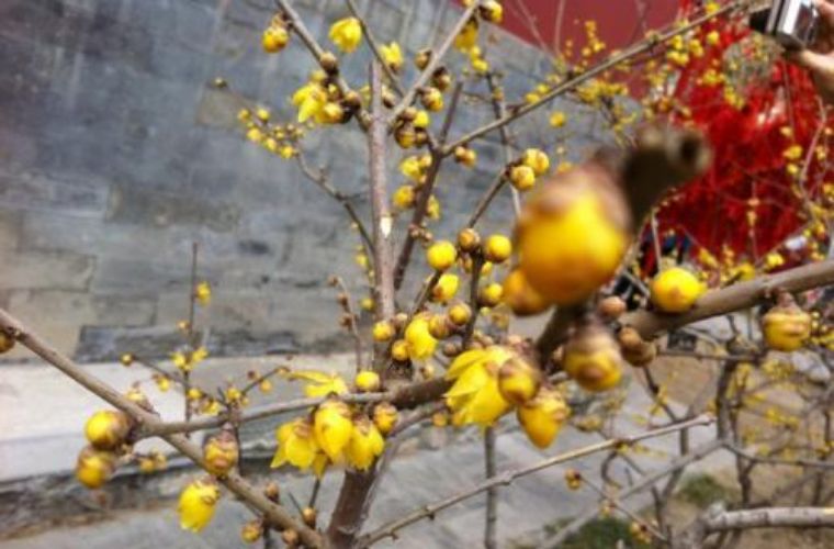 春节三天两晚自由行,假期轻松愉悦的玩耍